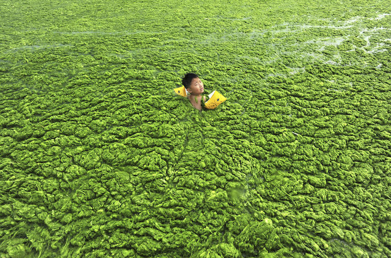 A boy swims in Algae-filled water in Qingdao, China