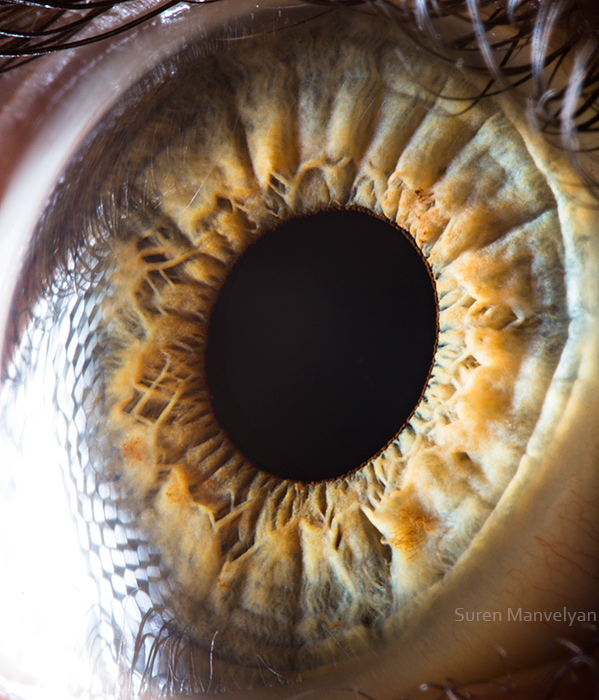 'Your Beautiful Eyes' - Amazing Close-Up Photos Of Human Eyes By Suren