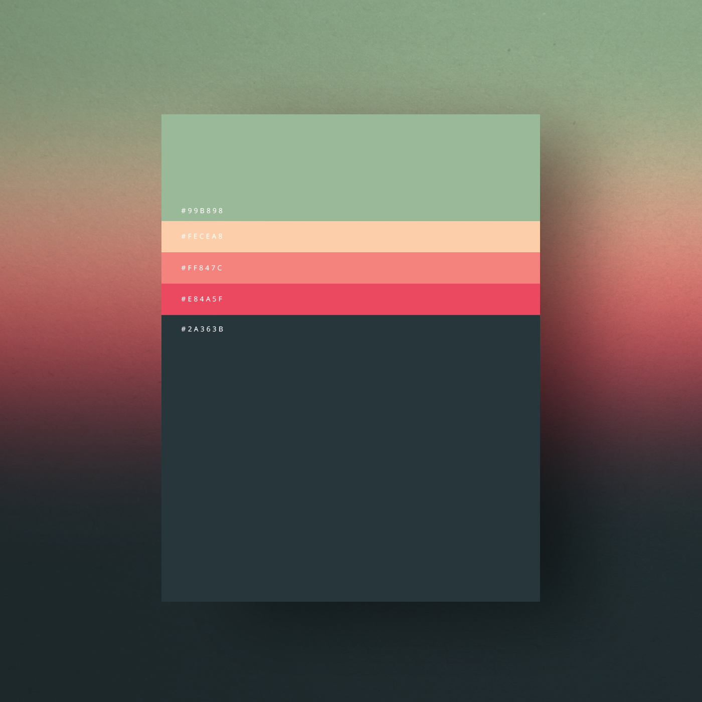 Best Color Palettes Design Talk