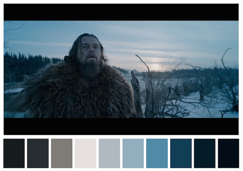 Cinema Palettes: Color palettes from famous movies - The Revenant