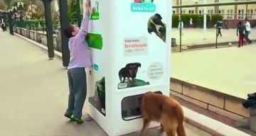 This Brilliant Vending Machine Gives Food To Stray Dogs In Exchange For Plastic Bottles