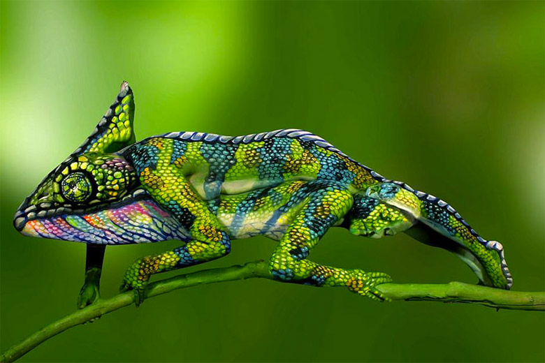 Chameleon Body Painting Of Two Women