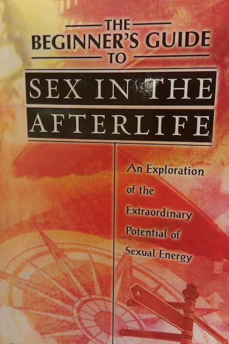 Worst/Funniest Book Titles & Covers - The Beginners Guide To Sex In The Afterlife