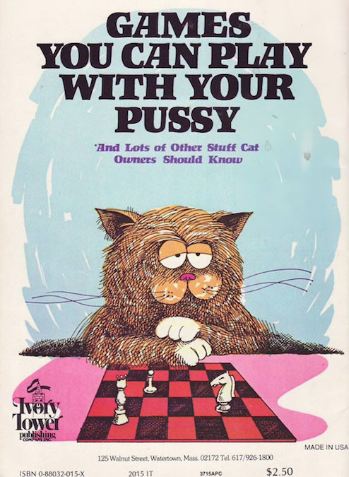 Worst/Funniest Book Titles & Covers - Games You Can Play With Your Pussy