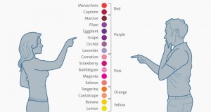 male-vs-female-color-perceptions-preferences