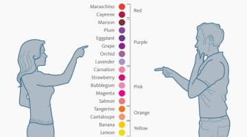 male-vs-female-color-perceptions-preferences