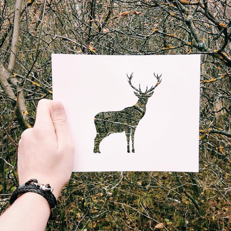 Paper cut-outs of animals filled with beautiful backdrops of nature - 23