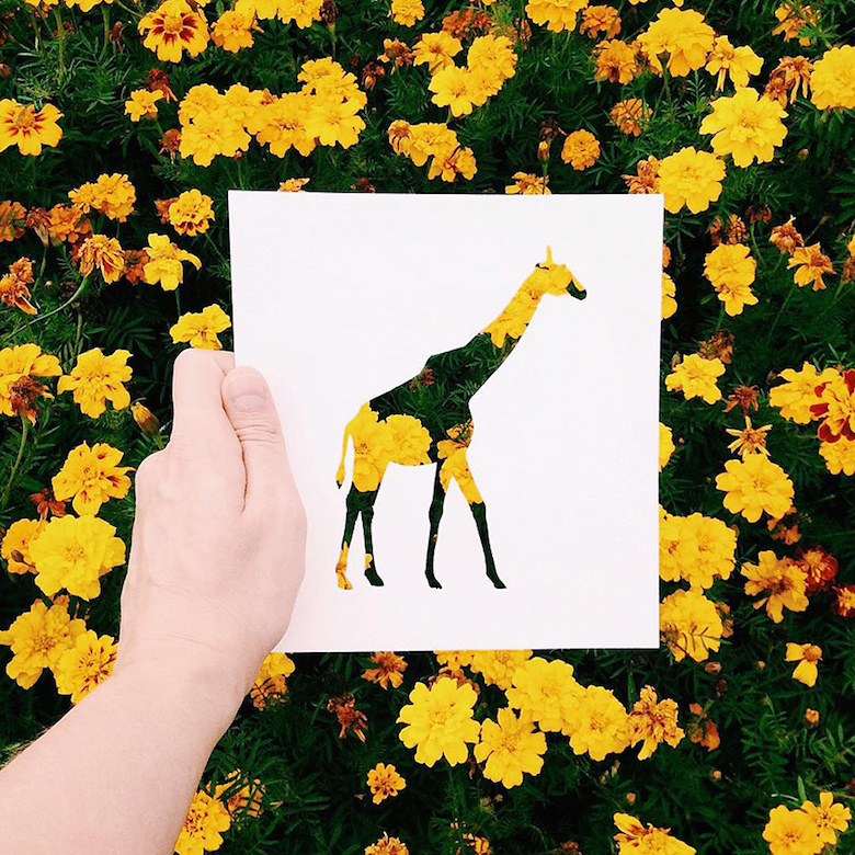 Paper cut-outs of animals filled with beautiful backdrops of nature - 9