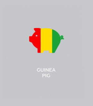Flag-colored icons of countries - Guinea Pig