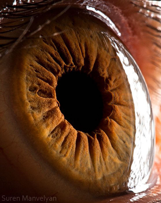 Extreme close ups of human eye (macro photography) - 1