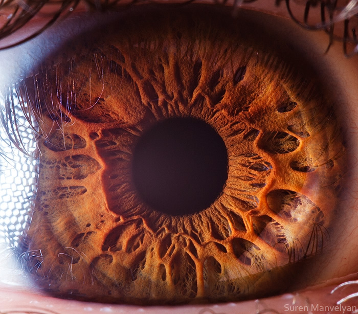 'Your Beautiful Eyes' Amazing CloseUp Photos Of Human Eyes By Suren Manvelyan