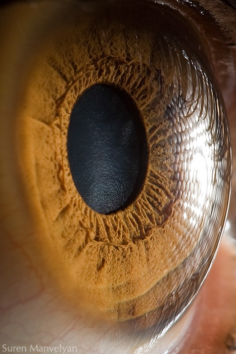 Extreme close ups of human eye (macro photography) - 11