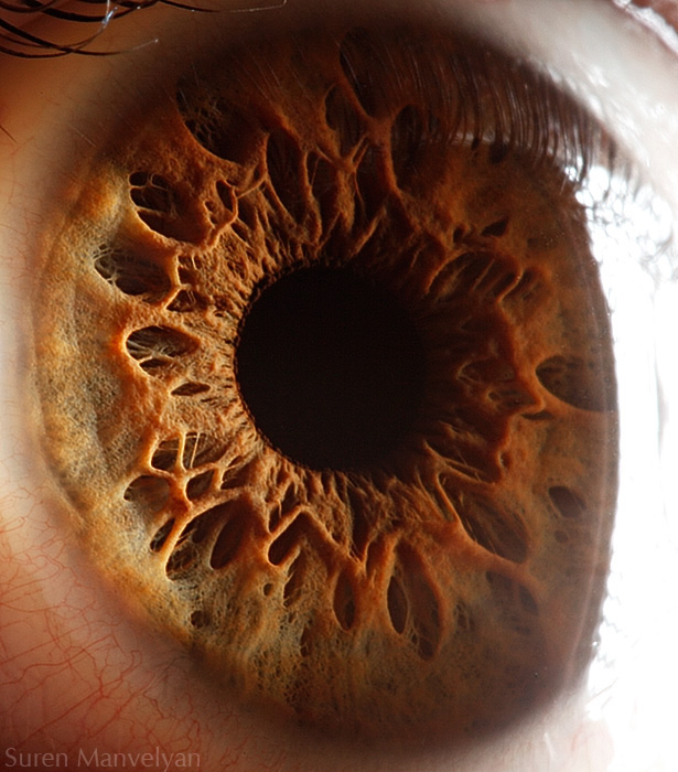 Extreme close ups of human eye (macro photography) - 12