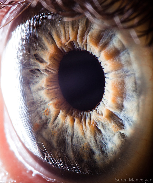 Extreme close ups of human eye (macro photography) - 13