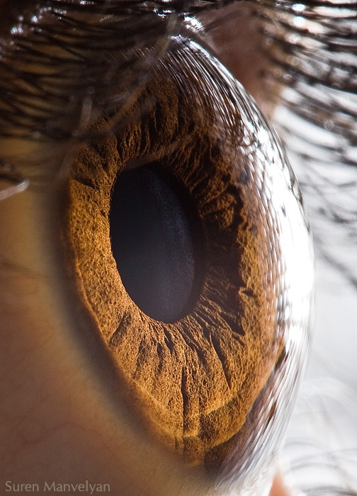 Extreme close ups of human eye (macro photography) - 14
