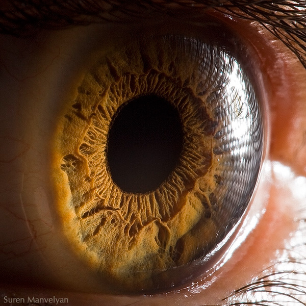 Extreme close ups of human eye (macro photography) - 15