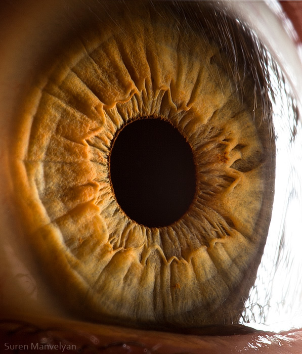 Extreme close ups of human eye (macro photography) - 18