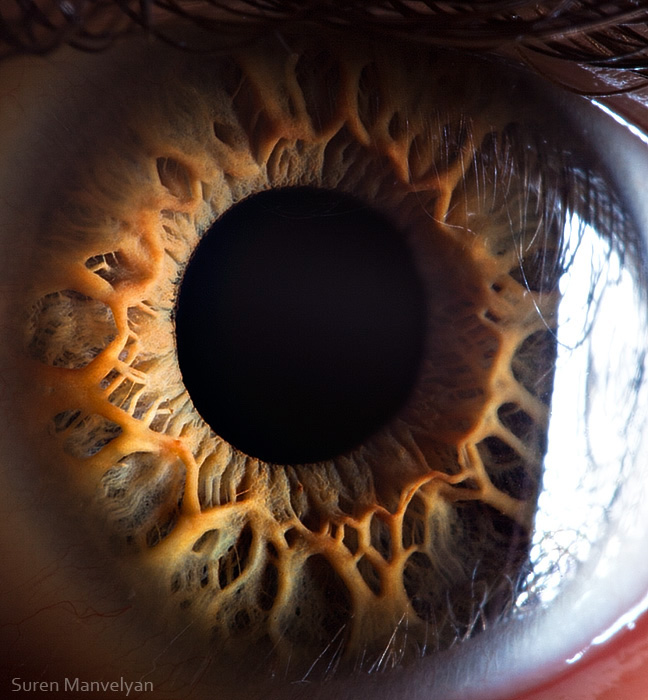 Extreme close ups of human eye (macro photography) - 19