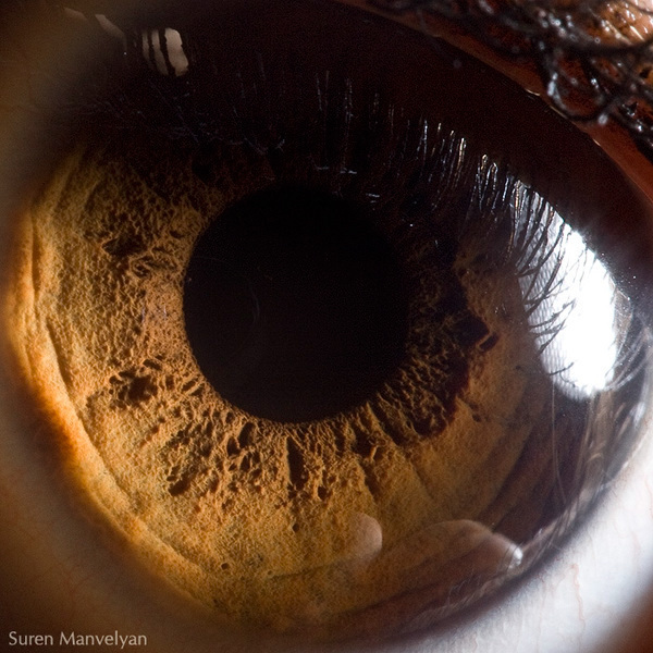 Extreme close ups of human eye (macro photography) - 2