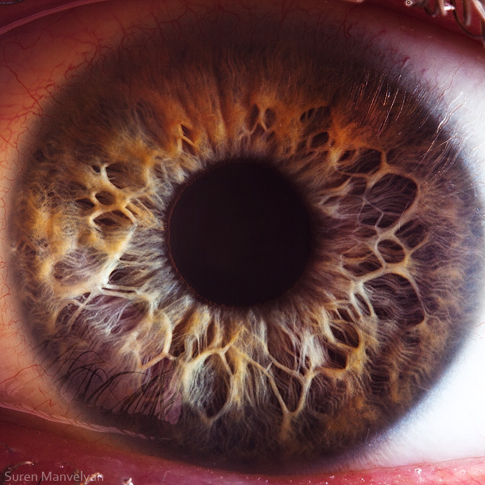 Extreme close ups of human eye (macro photography) - 20