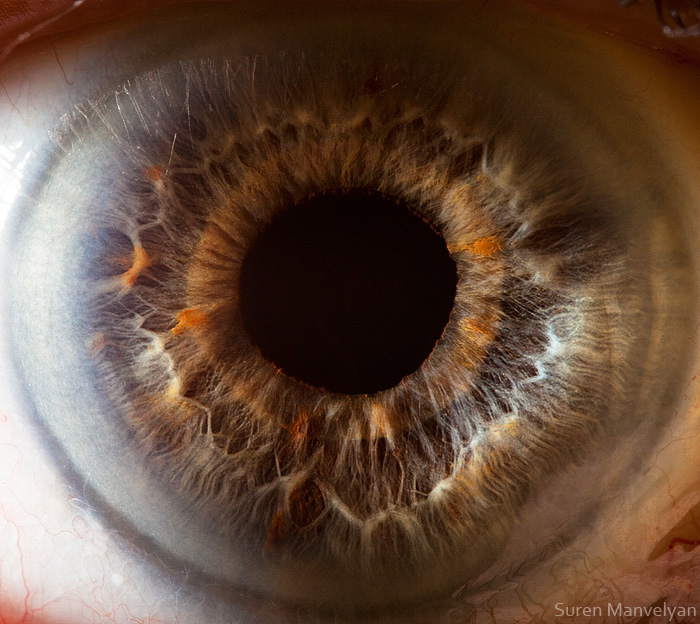 Extreme close ups of human eye (macro photography) - 22