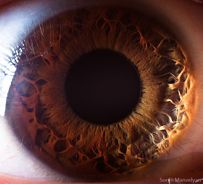 Extreme close ups of human eye (macro photography) - 24