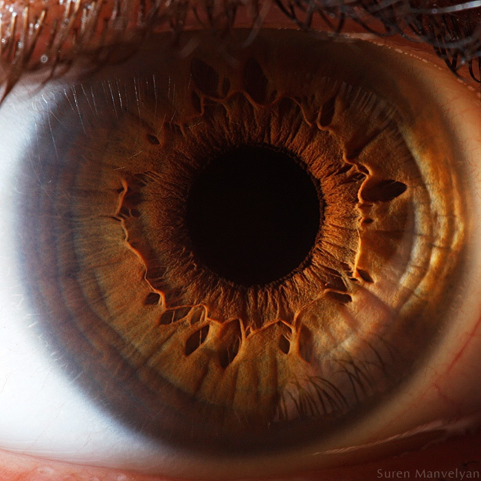 'Your Beautiful Eyes' - Amazing Close-Up Photos Of Human Eyes By Suren