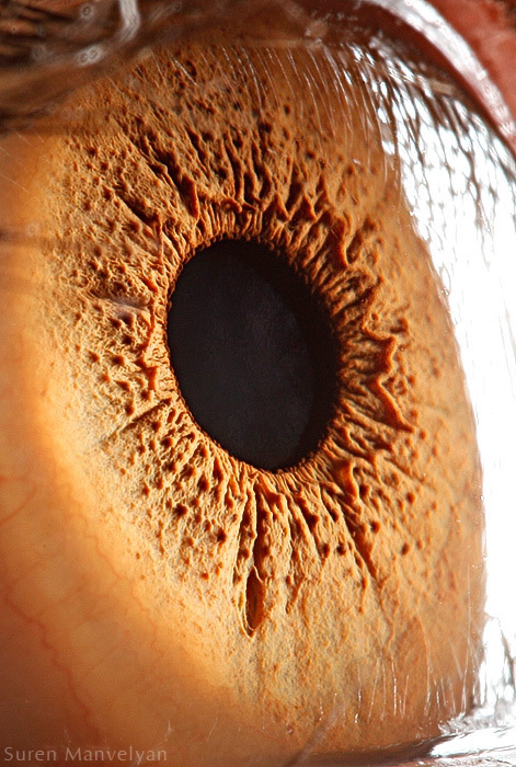 Extreme close ups of human eye (macro photography) - 29
