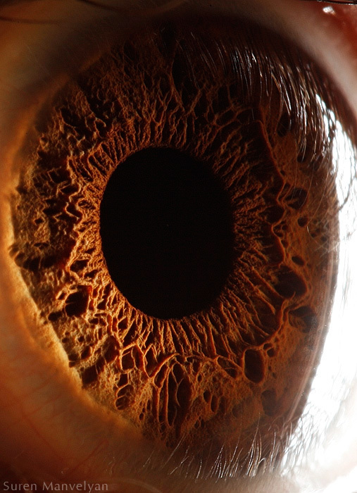 Extreme close ups of human eye (macro photography) - 30