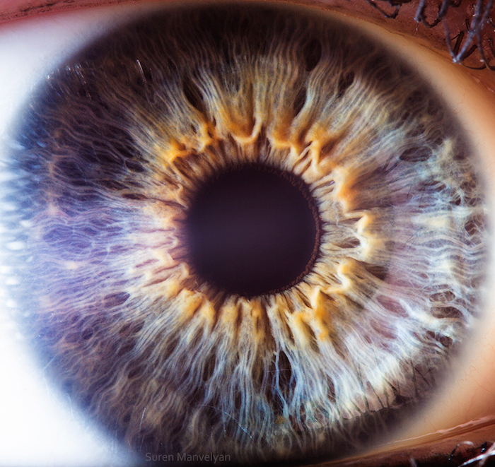 Extreme close ups of human eye (macro photography) - 33