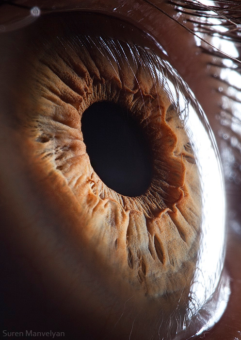 Extreme close ups of human eye (macro photography) - 34
