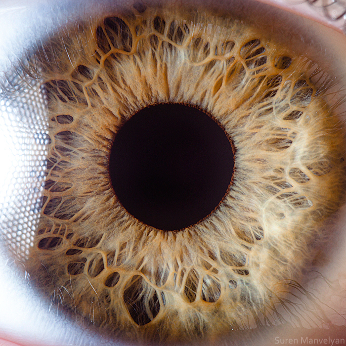 Extreme close ups of human eye (macro photography) - 35