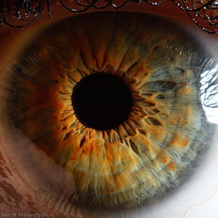 Extreme close ups of human eye (macro photography) - 36