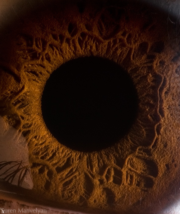 Extreme close ups of human eye (macro photography) - 39