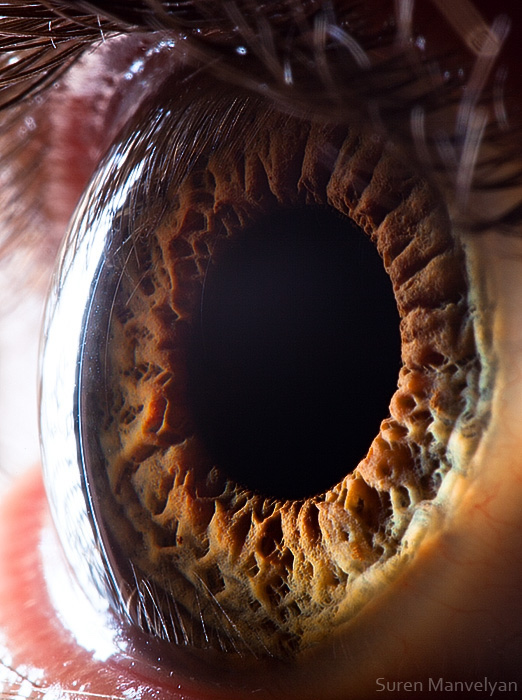 Extreme close ups of human eye (macro photography) - 41