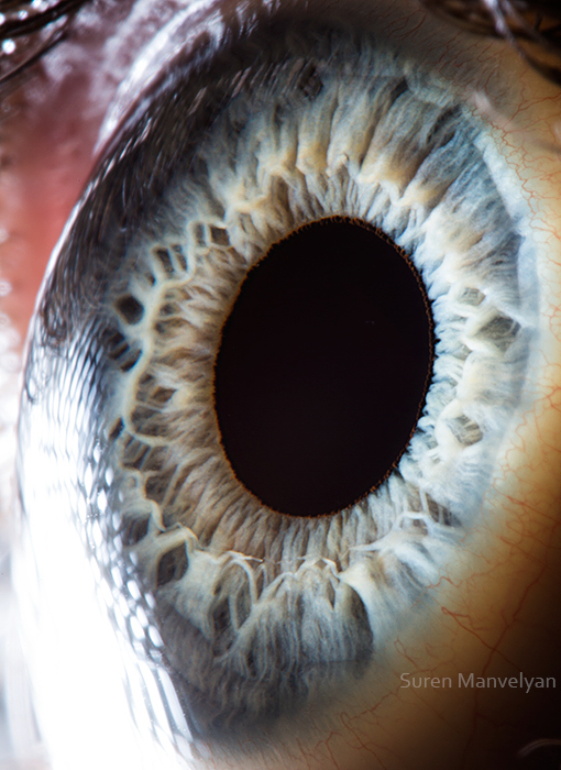 Extreme close ups of human eye (macro photography) - 44