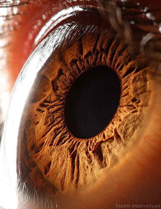 Extreme close ups of human eye (macro photography) - 45