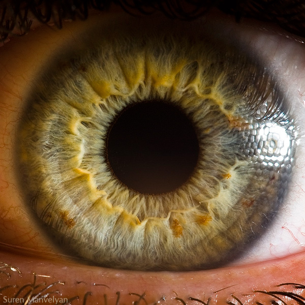 Extreme close ups of human eye (macro photography) - 5