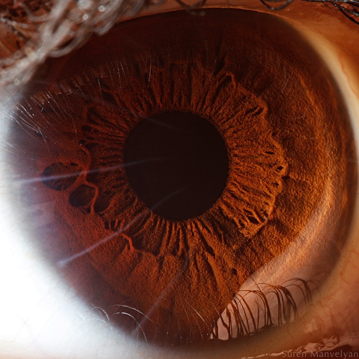 Extreme close ups of human eye (macro photography) - 6