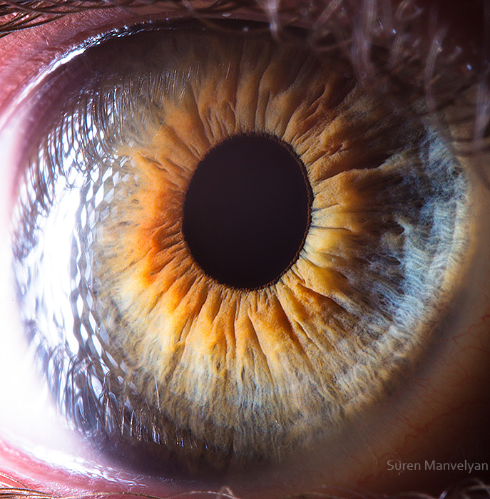Extreme close ups of human eye (macro photography) - 7