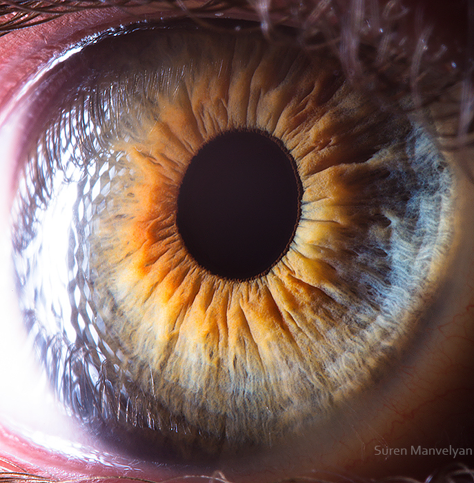 Your Beautiful Eyes Amazing Close Up Photos Of Human Eyes By