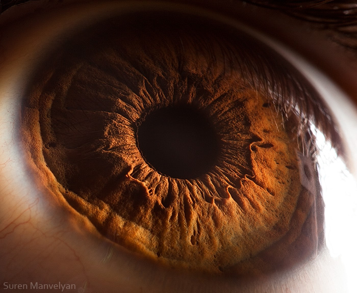Extreme close ups of human eye (macro photography) - 8