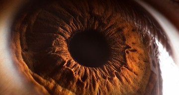 ‘Your Beautiful Eyes’ – Amazing Close-Up Photos Of Human Eyes By Suren Manvelyan