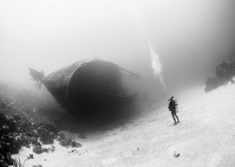 National Geographic's Top 20 Photos Of The Year - 14