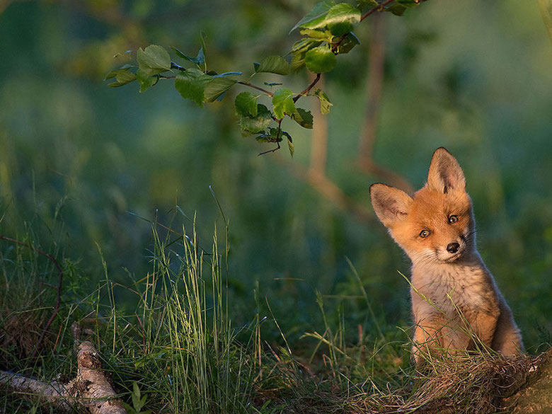 National Geographic's Top 20 Photos Of The Year - 15