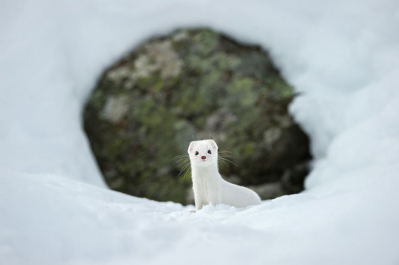 National Geographic's Top 20 Photos Of The Year - 18