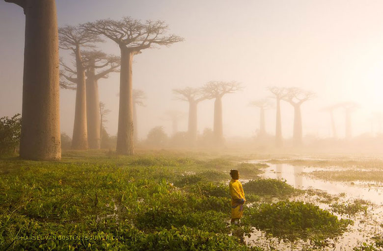 National Geographic’s Top 20 Photos Of The Year