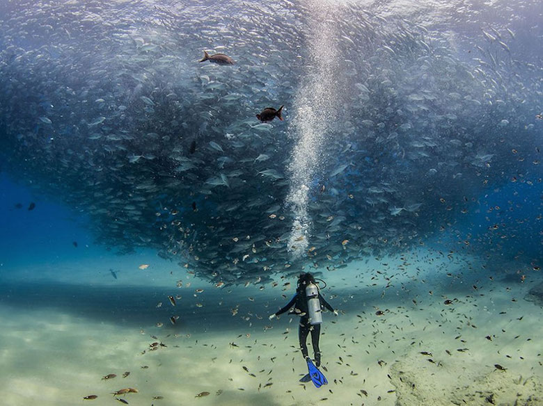 National Geographic's Top 20 Photos Of The Year - 9