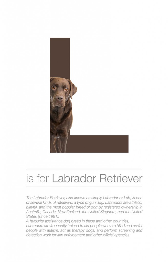 Designer Creates Adorable Alphabetical Series Of Dog Breeds From A To Z