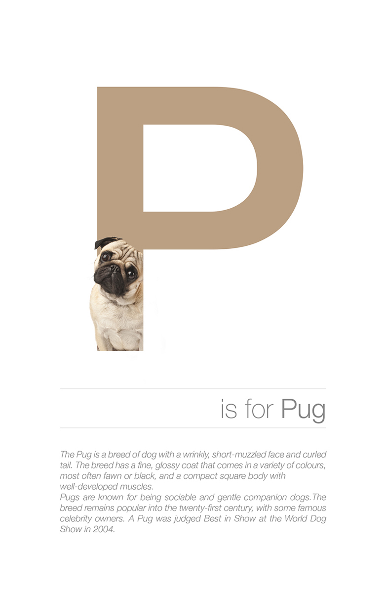 Alphabetical dog breeds - Pug